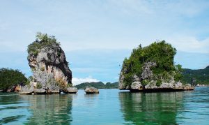 Dampak Pembangunan Jalan, Terumbu Karang Triton Terancam
