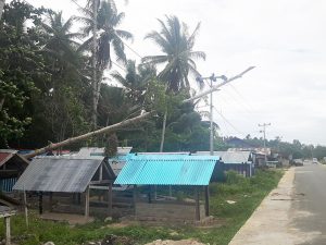 Sebatang pohon yang tumbang di TPU Kampung Coa, hingga menyebabkan listrik padam hingga 5 jam lamanya