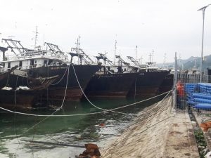 Aktivitas pemotongan kapal eks milik PT Avona Mina Lestari di areal Pelabuhan Laut Kaimana