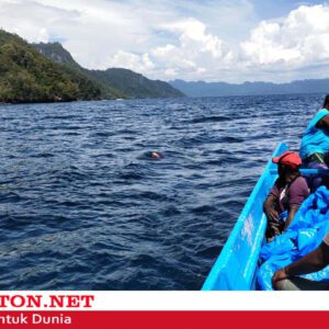 IMG-20191119-WA0007