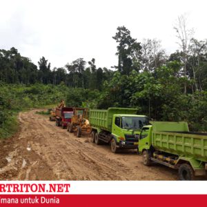 Wajah Ruas Jalan Avona-Yamor yang dibangun Dinas PUPR Kabupaten Kaimana
