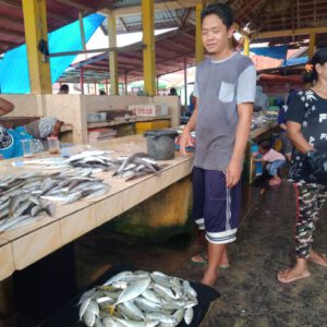 www.kabartriton.net
