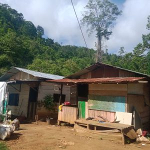 www.kabartriton.net