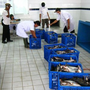 www.kabartriton.net