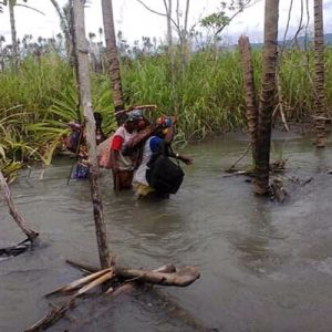 www.kabartriton.net