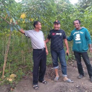 www.kabartriton.co.id