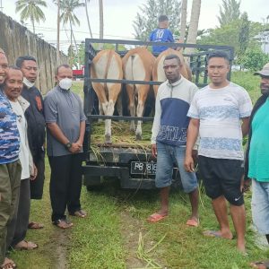 www.kabartriton.co.id