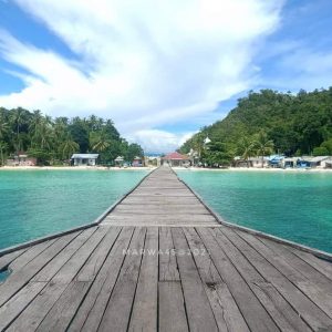 www.kabartriton.co.id