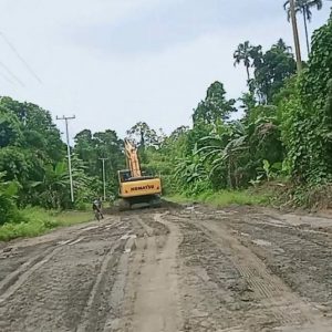 Proyek pengerjaan ruas jalan Mandiwa-Wermenu-Kufuryai di Distrik Arguni Bawah Kabupaten Kaimana Papua Barat. (FOTO; ANI)