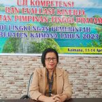 3afa66ed-01a4-4221-b40b-e180ee8a9a8cccccccc