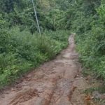 Kondisi ruas Jalan Mandiwa-Kafuryai yang rusak parah dan belum dikerjakan oleh pihak kontraktor, padahal dana uang muka sudah dicairkan sebesar Rp. 3 miliar pada tahun anggaran 2024 lalu.(FOTO : IST)