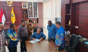 WhatsApp Image 2025-12-02 at 17.17.58