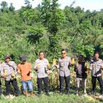 Polres Kaimana Panen Raya Jagung 2 Ha, Wujud Dukungan Nyata Ketahanan Pangan Nasional