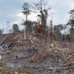 Lima Titik Api di Wermura Terdeteksi, Diduga Dibakar Orang Tak Dikenal