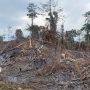 Lima Titik Api di Wermura Terdeteksi, Diduga Dibakar Orang Tak Dikenal