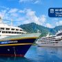 Kapal Pesiar Bawa Ratusan Wisatawan Asing, Teluk Triton Kembali Jadi Magnet Wisata