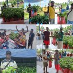 Di Kampung Gaka Realisasikan 2.500 Bibit Pala Program SAMISAKA
