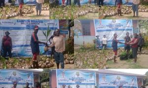 Warga Kampung Werafuta Terima 2.000 Bibit Pala dan 3.000 Bibit Kelapa SAMISAKA