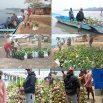 5.000 Bibit Pala dan Kelapa SAMISAKA Diterima Warga Ubia Sermuku