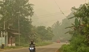 Kabut Asap Makin Pekat, ASN di Kaimana WFH Mulai 13 Oktober