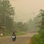 Kabut Asap Makin Pekat, ASN di Kaimana WFH Mulai 13 Oktober